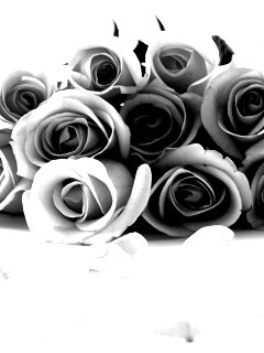 Букет роз обои