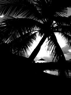 Пляж на закате обои