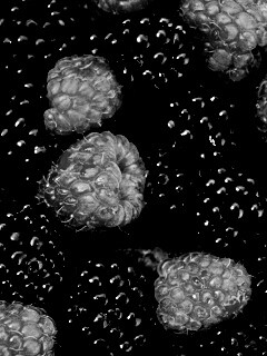 Малина и ежевика обои