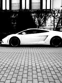 Белый Lamborghini обои