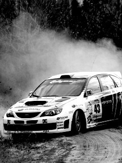 Раллийная гонка обои