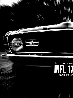 Мустанг обои