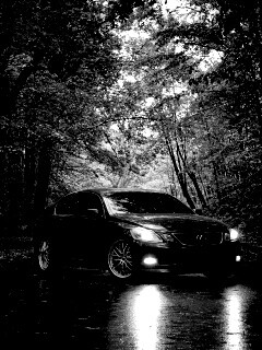 Лексус на лесной дороге обои