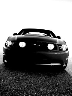 Форд Мустанг обои