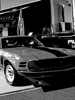 Мускул кары обои