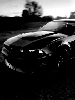 Ford Mustang обои