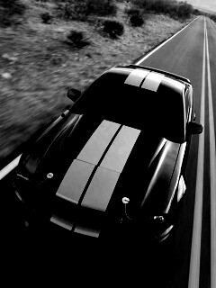Ford Mustang  с гоночными полосками обои