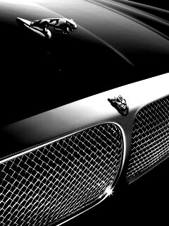 Капот и эмблема Ягуара обои
