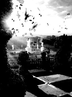 Шахматный сад обои