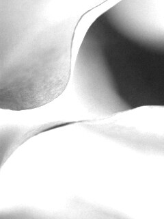 Оттенки природы обои