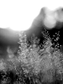 Посмотри на этот мир обои