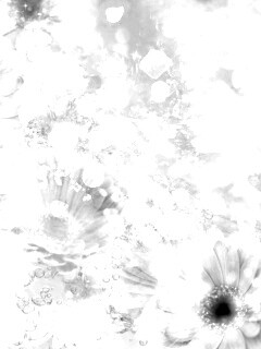 Цветочная эйфория обои