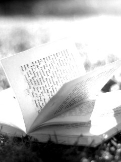 Книга в нежном свете обои