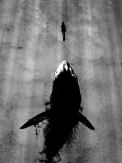 Акула гонится за человеком обои