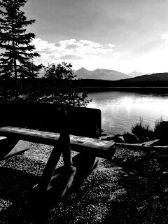 Деревянная скамья на берегу озера обои