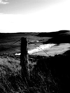 Пляж на озере обои