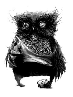 Не спящая сова обои