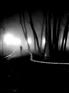 Пустынный лабиринт парковых дорожек обои