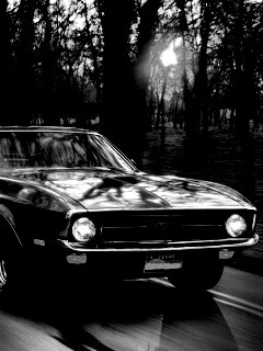 Мустанг обои