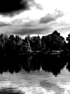 Деревья на берегу озера обои