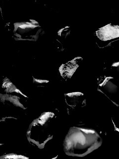 Ядра граната обои