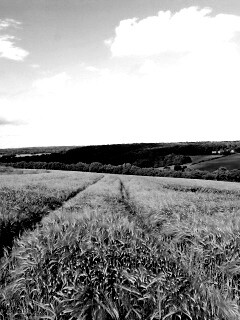 Бескрайние просторы обои