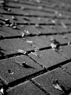 Тротуар обои