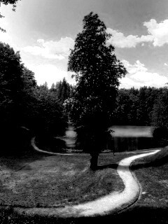 Прекрасная природа обои