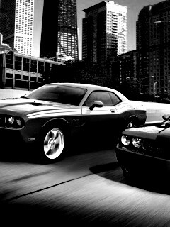 Два розовых мускулкара обои