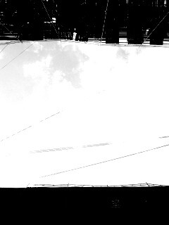 Человеческий муравейник обои