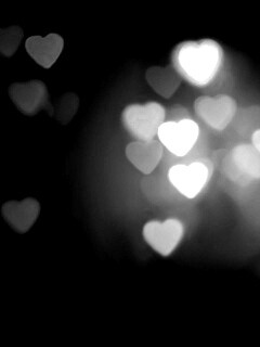 Фотографируй с любовью обои