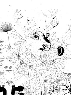 Животные на рабочий стол Apple обои