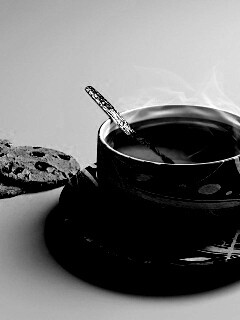 Чаек с печеньками обои