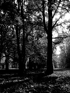 Осенний листопад в парке обои