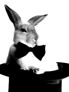 Кролик в цилиндре фокусника обои