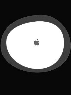 Apple в белом круге обои