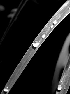 Капли росы на траве обои