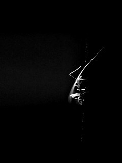 Муравей-пожарник обои