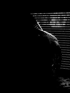 Взаперти обои