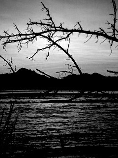 Тропический закат обои