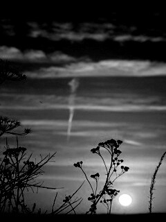 Степной закат обои