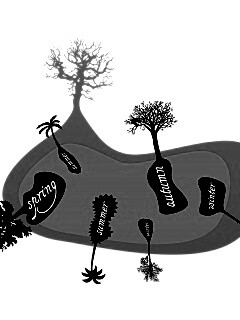 Деревья времен года обои