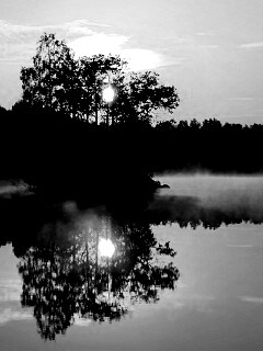 Туманное утро обои