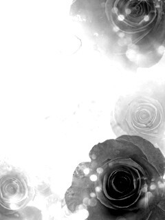 Синие розы обои