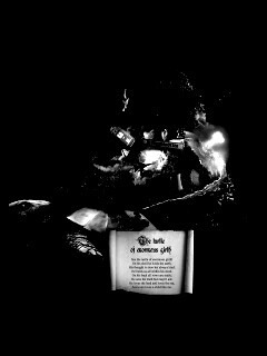 Огромная в обхвате черепаха обои