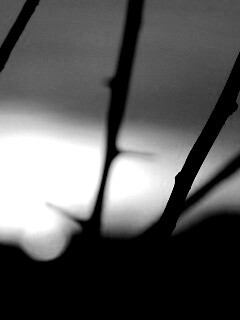 Закат солнца в поле обои