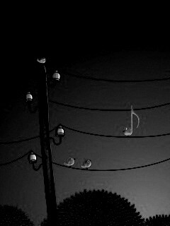 Нотка и птички на проводах обои