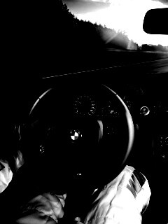 За рулём BMW обои