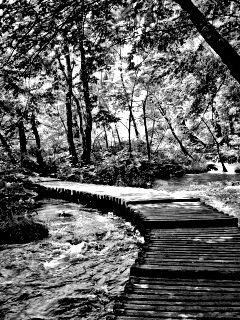 Тропинка над водой обои