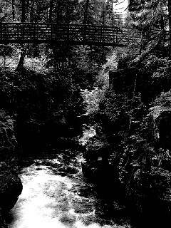 Мостик через реку в лесу обои